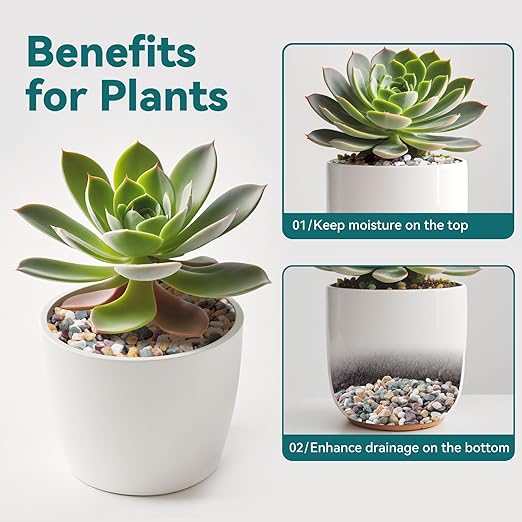 2.5 lbs Natural Pea Gravel Pebbles for Aquarium, Fish Tank, 3/8 inch Decorative Pebbles for Indoor Plants, Succulent, Bamboo, Vase, Drainage Rocks for Potted Plants, Top Dressing, Mixed Color-PurrikoPets