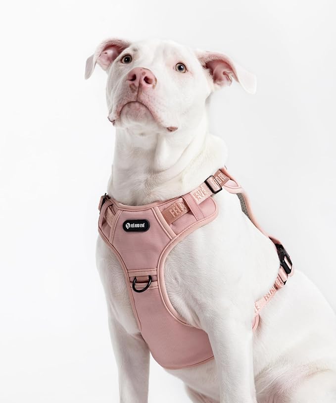 2025 New Edition, Fei & Eve MagEase Dog Harness - 3-Second Magnetic Buckles | 3-Point No-Pull Control | Heavy-Duty 900D Nylon | Dual Safety Handles | Breathable Mesh | Adjustable Fit | Large, Pink-PurrikoPets