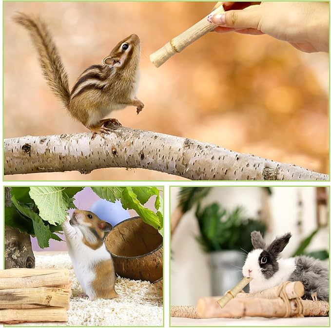 2lb Natural Sweet Bamboo Chew Toys for Small Pets - Organic Molar Sticks with Xylose & Vitamins for Rabbit, Guinea Pig, Hamster - Dental Care & Chewing Entertainment-PurrikoPets