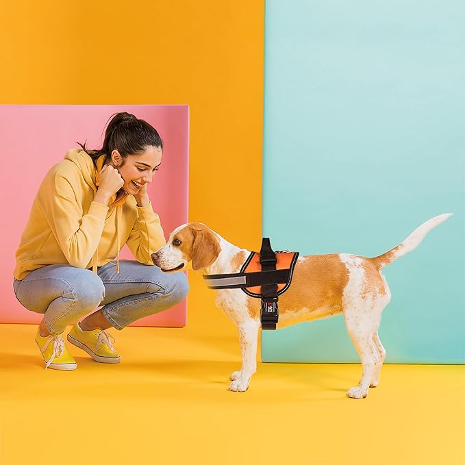 Dogline Dog Harness, Reflective No-Pull Adjustable Vest with Handle for Walking, Training, Breathable, No - Choke Harness for Small, Medium or Large Dogs Room for Patches Girth 22"-28" in Orange-PurrikoPets