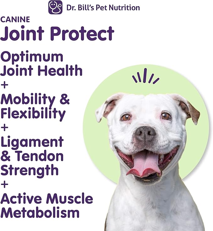 Dr. Bill’s Canine Joint Protect | Joint Support for Dogs | Pet Supplement for Ligament & Tendon Strength | Collagen Type II, Hyaluronic Acid, Eggshell Membrane and L-Glutamine-PurrikoPets
