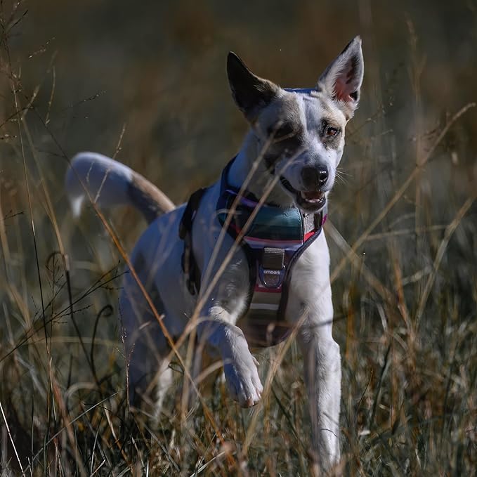 Embark Adventure Dog Harness, Reflective Trim No Pull Harness for Medium Sized Dog - Military Grade Nylon, Front Clip with Gel Lined Handle. Soft & Padded Puppy-PurrikoPets