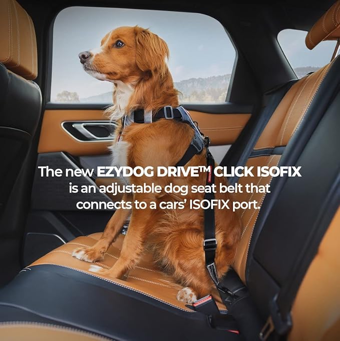 EzyDog Click ISOFIX Standard - Dog Seat Belt Car Harness Attachment for Dogs - Adjustable Dog Restraints Seatbelts for Car Travel and Safety - (17in - 26in, Black)-PurrikoPets