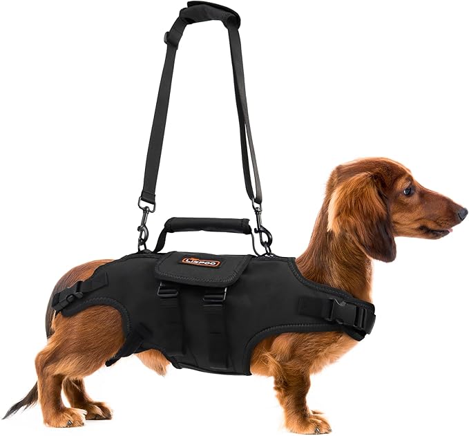 Dog Lift Harness, Full Body Support with Adjustable Control Handle for Medium Senior Dogs, Post-Surgery Recovery & Joint Problems (Oxford Cloth, M)-PurrikoPets
