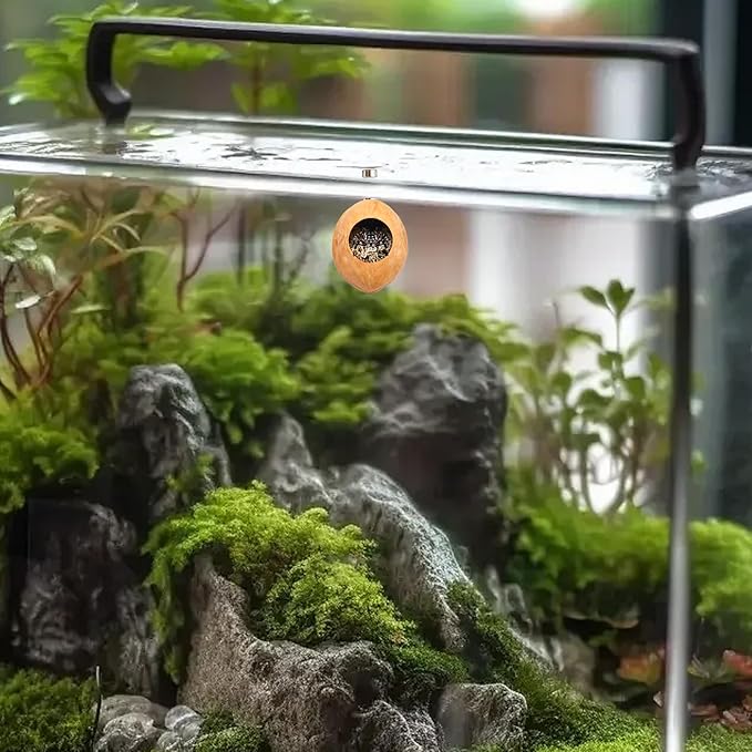 2 Pack Jumping Spider Enclosure Accessories with Walnut Shell Moss and Magnet, Natural Material Jumping Spider Hide-PurrikoPets