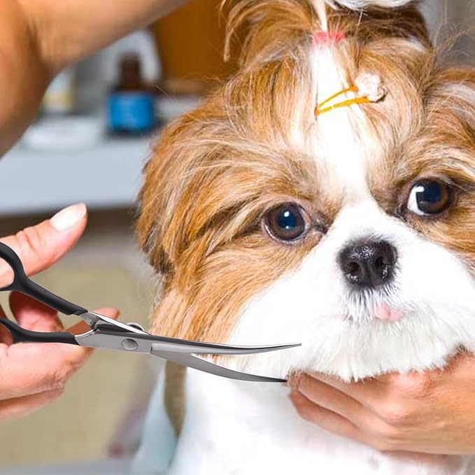 Dragon Creek 6" Upward Curved Dog Grooming Scissors Shears for Grooming Face and Paws Safety Shears Trimming Cutting Scissors for Dog Cat Pet Black-PurrikoPets