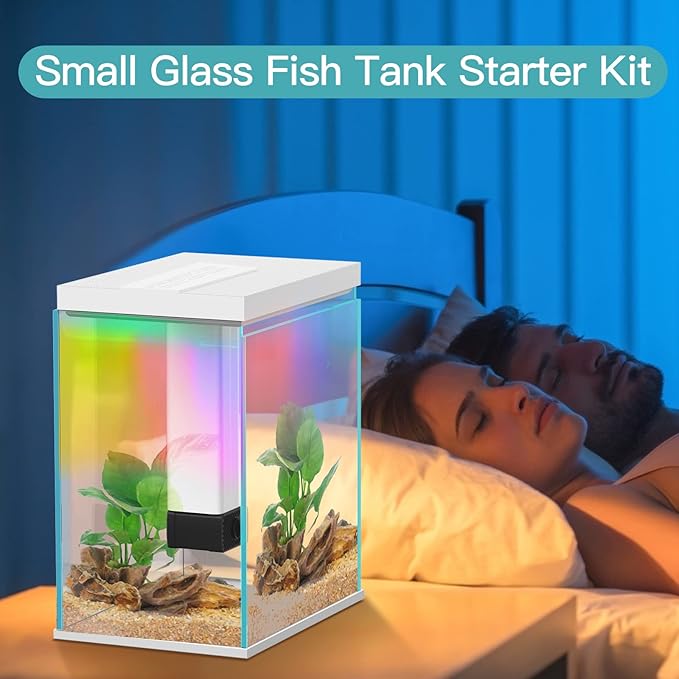 2 Gallon Glass Betta Fish Tank with Heater Filter and Light, Self-Cleaning Small Fish Tank Starter Kits.-PurrikoPets