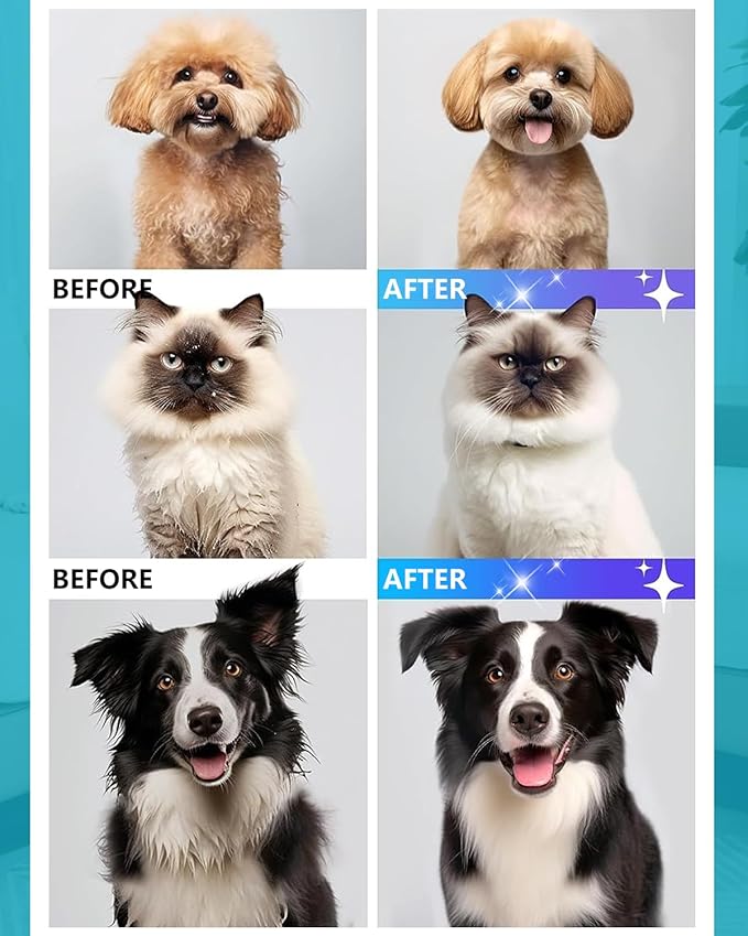 Dog Grooming Vacuum, Bawetech B2 5-in-1 Pet Grooming Kit with Dog Clipper, 11000Pa Suction | 2L Capacity | 113℉ Dryer | Low Noise Pet Hair Removal Tool Pet Supplies, 2025 Upgraded-PurrikoPets