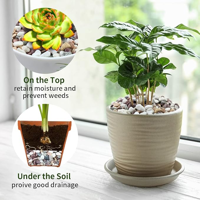 5 lbs Natural Mixed Color Gravel Pebbles, 3/8 Inch Decorative Succulent Rocks Pebbles for Plants, Stones for Vase, Landscaping and Outdoor Garden Decorative River Rock-PurrikoPets