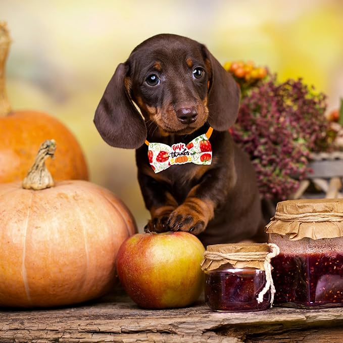 22pcs Fall Dog Bow Tie, Adjustable Bowtie Collar Attachment for Small Medium Pets, Bulk Neckties Set for Thanksgiving Day,Autumn Pet Supplies Charms Hair Costume Accessories(Maple Leaf, Pumpkin)-PurrikoPets