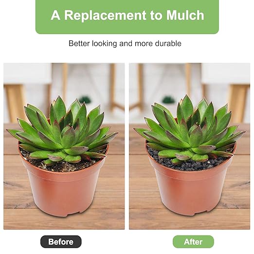 5 lbs Pebbles for Indoor Plants, Succulent, Cactus, 1/5 Inch Small Lava Rock for Plants Drainage, Natural Horticultural Volcanic Rock, Top-Dressing-PurrikoPets