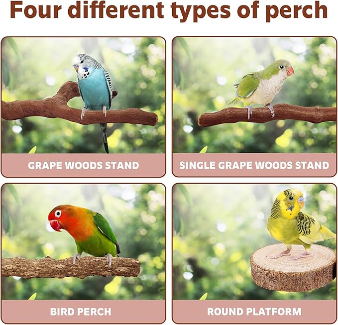 7-Piece Bird Perch Set: 3 Grapevine Paw Grinding Forks, 2 Wood Stands & 2 Hammocks - Cage Accessories for Parakeets, Cockatiels, Conures, Budgies-PurrikoPets