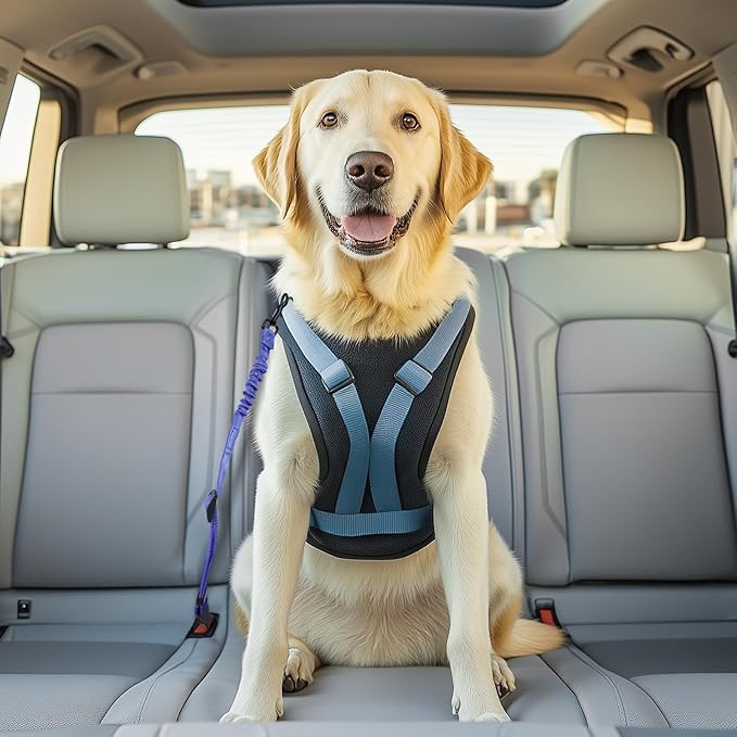 3 Pack Thickened Dog Seat Belt, Set Retractable Dog Car Adjustable Seatbelts for Vehicle Nylon Pet Safety Heavy Duty & Elastic & Durable Car Harness for Dogs, Blue-PurrikoPets