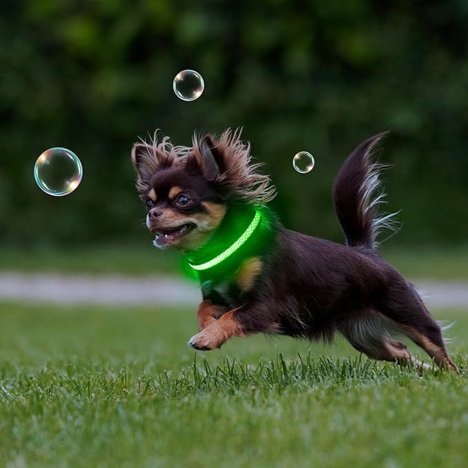 Flashseen LED Cat Collar,Light Up Dog Collar Rechargeable, Dog Lights for Night Walking, Comfortable Soft Mesh Pet Collar Adjustable for Cats Puppy and Small Dogs(Neon Green, XS)-PurrikoPets