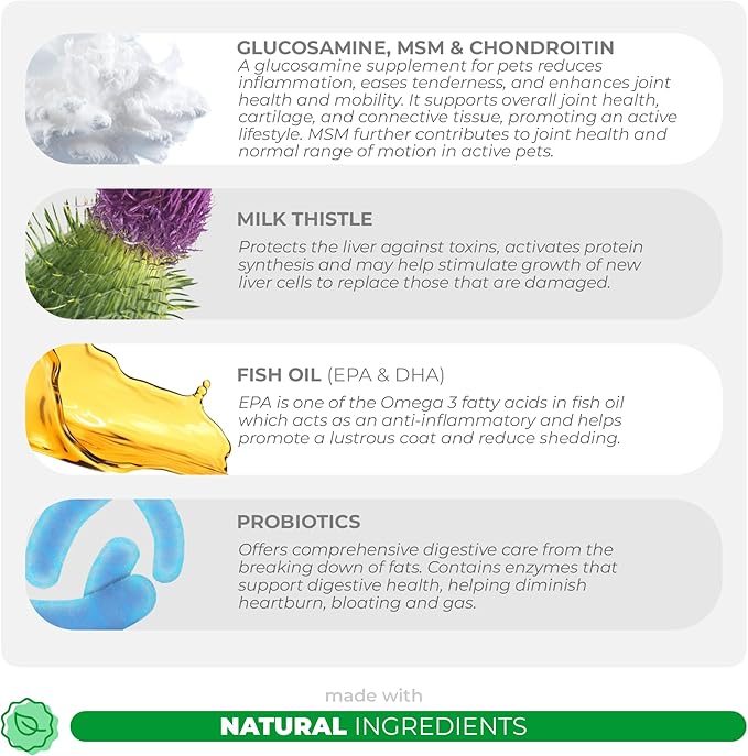 10 in 1 Multivitamin for Dogs - 120 Chewable Tablets with Glucosamine and Chondroitin - Fish Oil & Vitamins with Coq10 for Skin & Heart Health, Gut & Immune Support-PurrikoPets