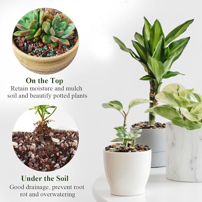 10 lbs Succulent Cactus Soil Potting Mix,5-8 mm Pebbles Mix Horticultural Lava Rock-PurrikoPets