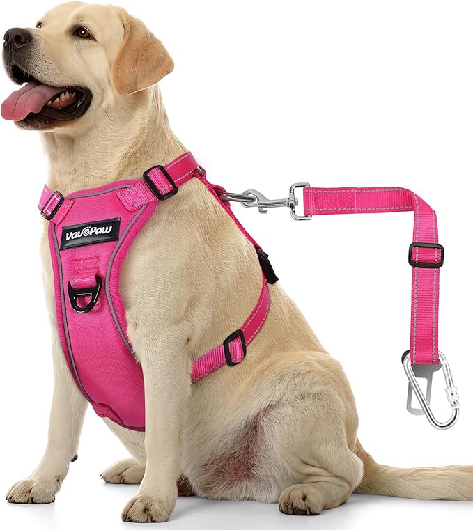 Dog Seat Belt Harness for Car, Dog Car Harness Adjustable Mesh Breathable & Dog Seatbelt Safety Tether with Elastic Bungee for Small Medium Large Pets(Rose, XL)-PurrikoPets