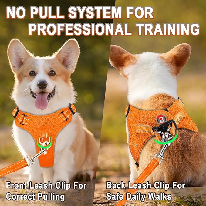 Dog Harness Step in Dog Vest Harness, Reflective Adjustable Puppy No Pull Harness Breathable Soft for Small and Medium Dogs Cats, Orange, XS-PurrikoPets