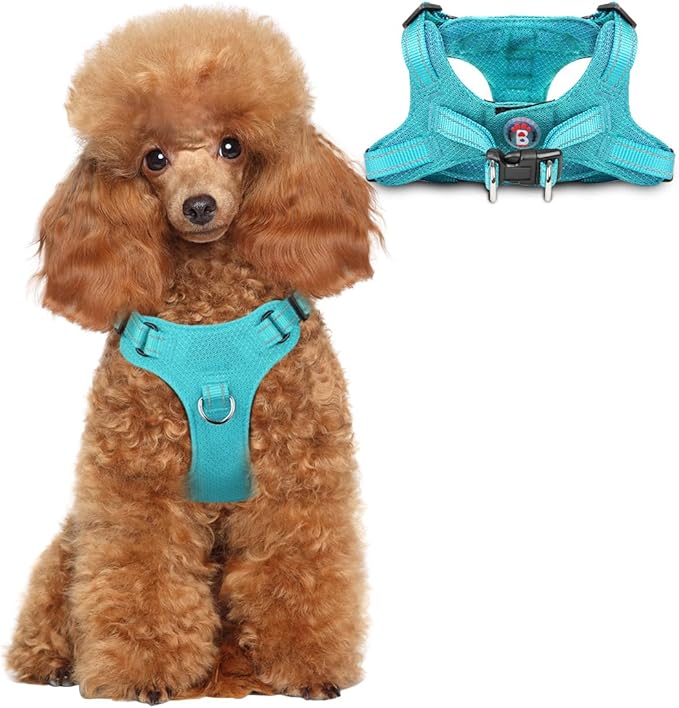 Dog Harness Step in Dog Vest Harness, Reflective Adjustable Puppy No Pull Harness Breathable Soft for Small and Medium Dogs Cats, Ocean Blue, XS-PurrikoPets