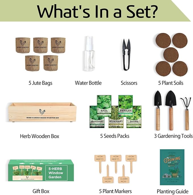 5 Herb Seeds Garden Starter Kit with Complete Planting Kit & Wooden Flower Box, Growing into Basil, Parsley, Rosemary, Thyme, Mint for Kitchen Windowsill Herb Garden DIY-PurrikoPets