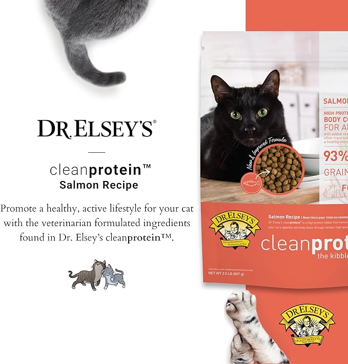 Dr. Elsey'S Cleanprotein Salmon Formula Dry Cat Food, 2 Pound (Pack of 1)-PurrikoPets