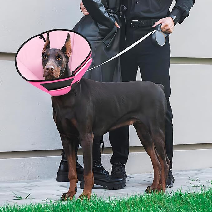 Dog Recovery Collar Cone for Medium Dogs, Adjustable Dog Cone Alternative After Surgery for Dogs to Stop Licking, Breathable Soft Cone for Medium Large Dogs, Pink M-PurrikoPets