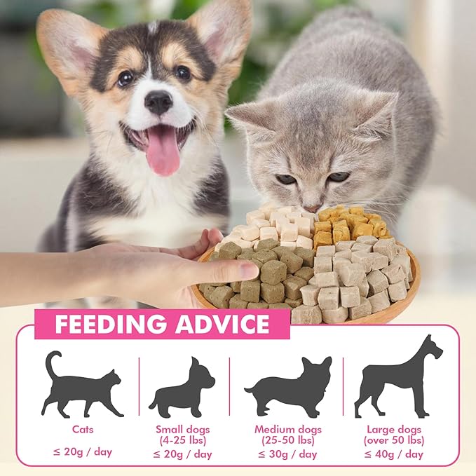Freeze Dried Cats & Dogs Raw Treats, All Natural Single Ingredient Chicken Liver, High Protein Healthy Pet Training Treats or Food Topper, 6 oz-PurrikoPets