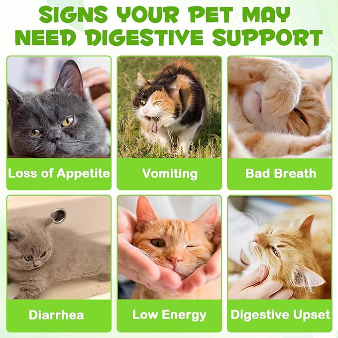 3 in 1 Probiotics for Cats, Cat Digestive Support,Daily Digestive Health Supplement with Multiple Strains of Bacteria Help with Diarrhea,Gas and Bloating, Cat Herbal Supplements- 60ml-PurrikoPets