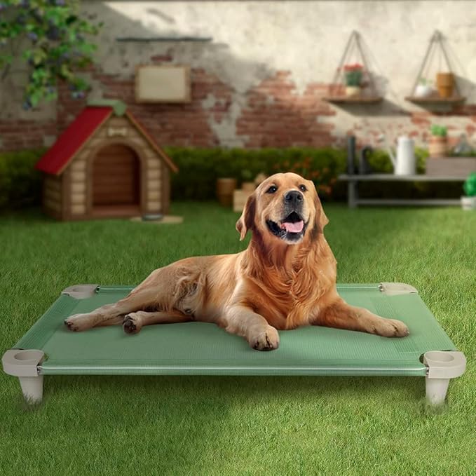 Acrimet Cooling Elevated Pet Dog Bed, Washable and Breathable Mesh Cot, Stainless Steel Frame, Indoor & Outdoor Use, fits Dogs up to 110 lbs (Size: 40” x 24”), Green, 1 Unit-PurrikoPets