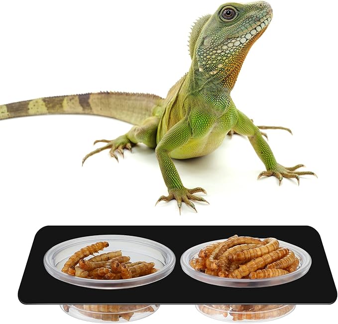 EBOOT 500 Pcs Gecko Food and Water Cups Small Plastic Feeder Cups Reptiles Accessories Reptile Water Bowl Gecko Food Cups Reptile Feeding Bowls for Gecko Lizards Tarantula and Other Small Pets (0.5oz)-PurrikoPets