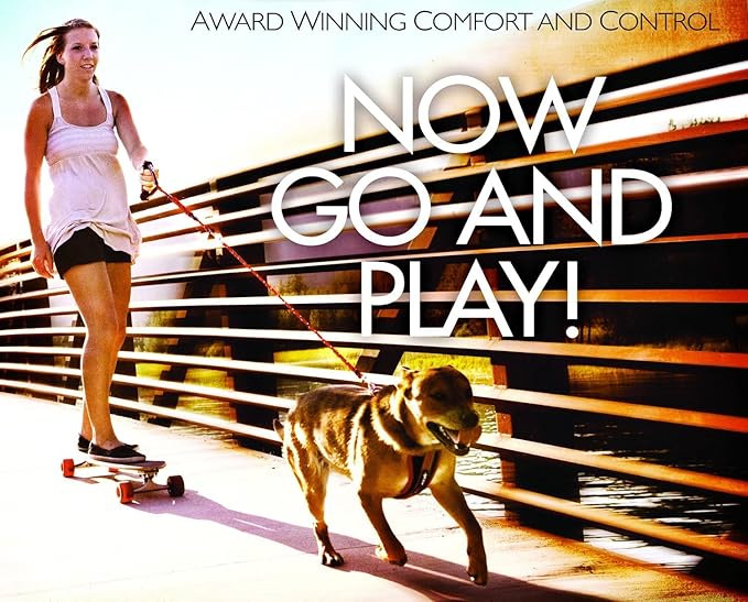 EzyDog CLICK – Dog Seat Belt for Car, Dog Harness Adjustable Seatbelt Attachment – Heavy Duty Nylon Seat Belt Webbing (17.5in - 26in)-PurrikoPets