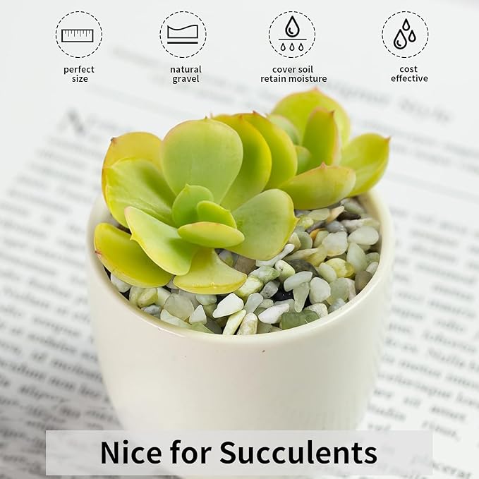 5 lbs Jade Gravel Small Pebbles for Indoor Plants, Decorative Rocks for Plants Succulents Cactus Bamboo Vases Filler and Potted Drainage Gravel-PurrikoPets