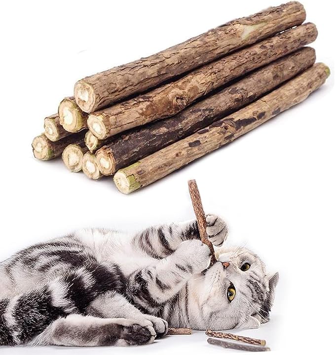 10 PCS Cat Catnip Sticks, Natural Matatabi Silvervine Sticks - Cleaning Teeth Molar Tools Kitten Chew Toy Natural Catnip Cats Toy-PurrikoPets