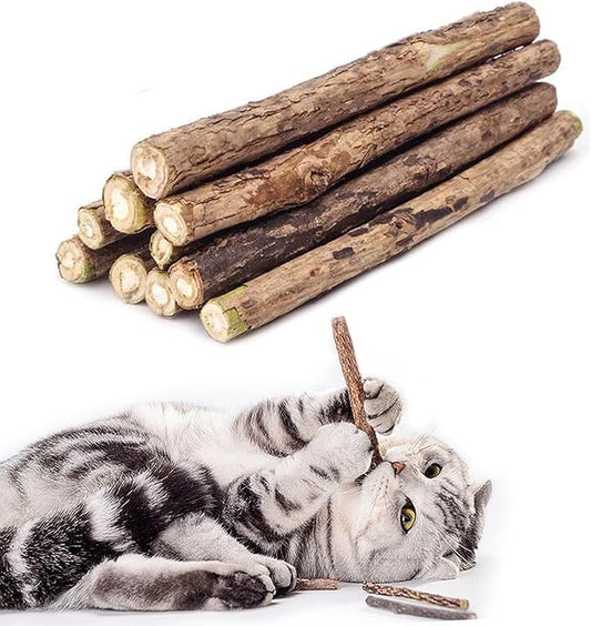 10 PCS Cat Catnip Sticks, Natural Matatabi Silvervine Sticks - Cleaning Teeth Molar Tools Kitten Chew Toy Natural Catnip Cats Toy-PurrikoPets
