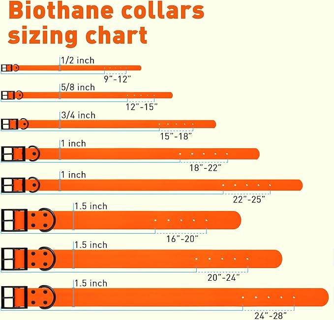 Dogline Biothane Waterproof Dog Collar Strong Coated Nylon Webbing with Black Hardware Odor- Proof for Easy Care Easy to Clean High Performance Fits Small Medium or Large Dogs, Hunter Orange-PurrikoPets
