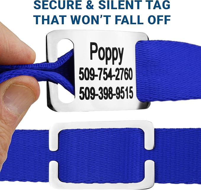 GoTags Personalized Dog Collar with Nameplate, Adjustable Dog Collar with Custom Engraved Slide On Pet ID Tag in Stainless Steel, Silent, No Noise Dog Tag for Large Medium and Small (Blue, Medium)-PurrikoPets