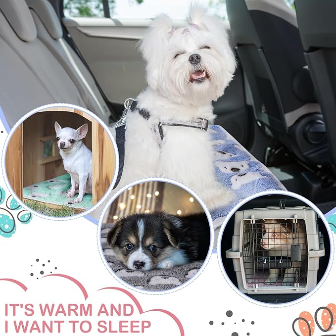 4 Pcs Waterproof Guinea Pig Blankets Washable Small Animal Fleece Bedding Absorbent Guinea Pig Cage Liners Reusable Pet Pee Pad Sleep Mat Pad Cover for Hamster Ferret (Bear Pattern,24 x 16 Inch)-PurrikoPets