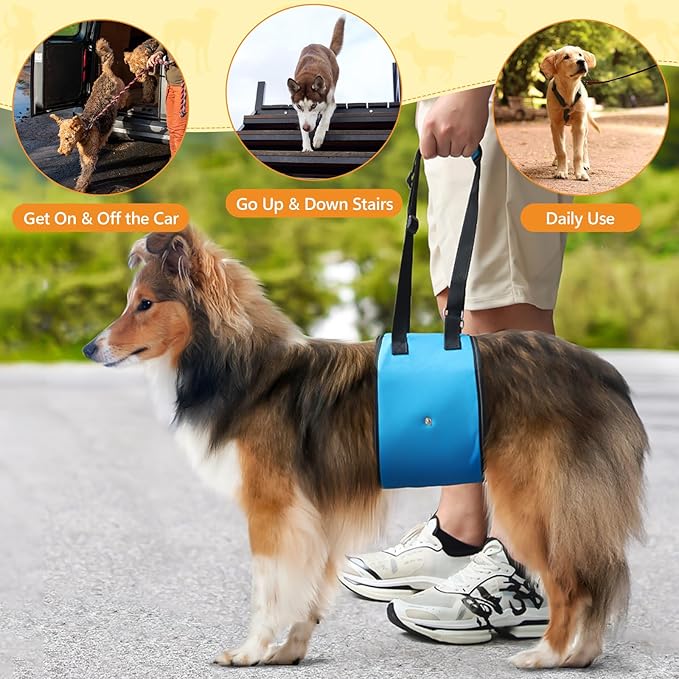 Dog Lift Harness Dog Sling for Large Dogs, Portable Dog Carrier Sling for Back Legs, Ajustable Hip Support Harness for Weak Rear Leg, Assist Senior Disabled Joint Injuried and After ACL-PurrikoPets
