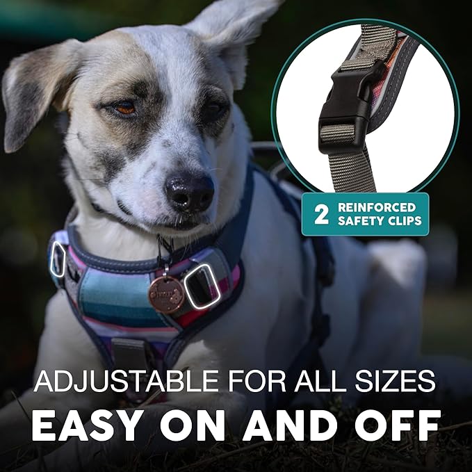 Embark Adventure Dog Harness, Reflective Trim No Pull Dog Harnesses for Small Sized Dogs - Military Grade Nylon, Front Clip with Gel Lined Handle. Soft & Padded Puppy-PurrikoPets