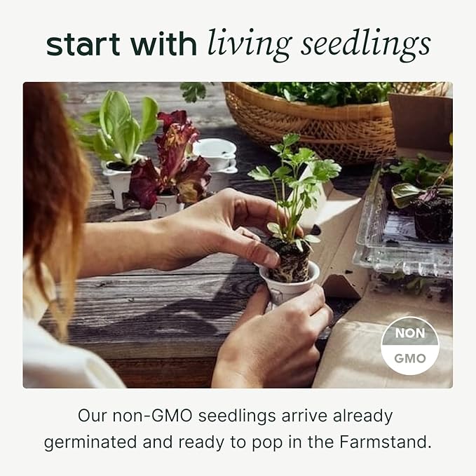 Farmstand Starter Kit with Glow Rings and 12 Seedling Credits | Tiny Hydroponic Growing System Kit | Vertical Garden Planter Tower | 3ft 8in Tall-PurrikoPets