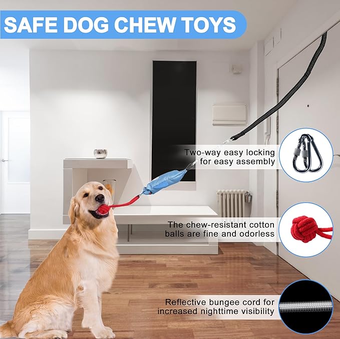 Dog Tree Tug of War Toy with Squeaky, Tethered Tug of War Outdoor Toy Self Play for Aggressive Chewers, Durable Bungee Cord with Chew Ball-PurrikoPets