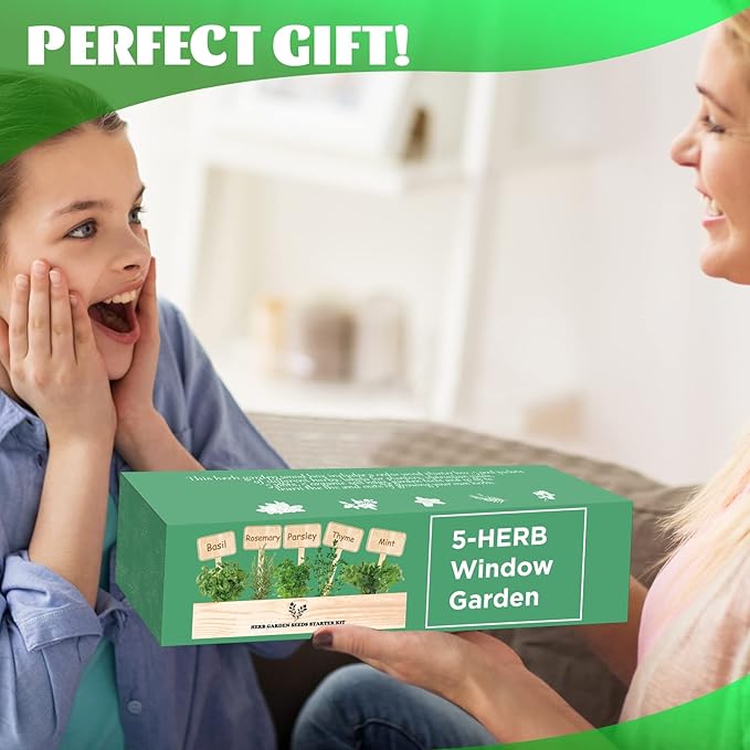 5 Herb Seeds Garden Starter Kit with Complete Planting Kit & Wooden Flower Box, Growing into Basil, Parsley, Rosemary, Thyme, Mint for Kitchen Windowsill Herb Garden DIY-PurrikoPets