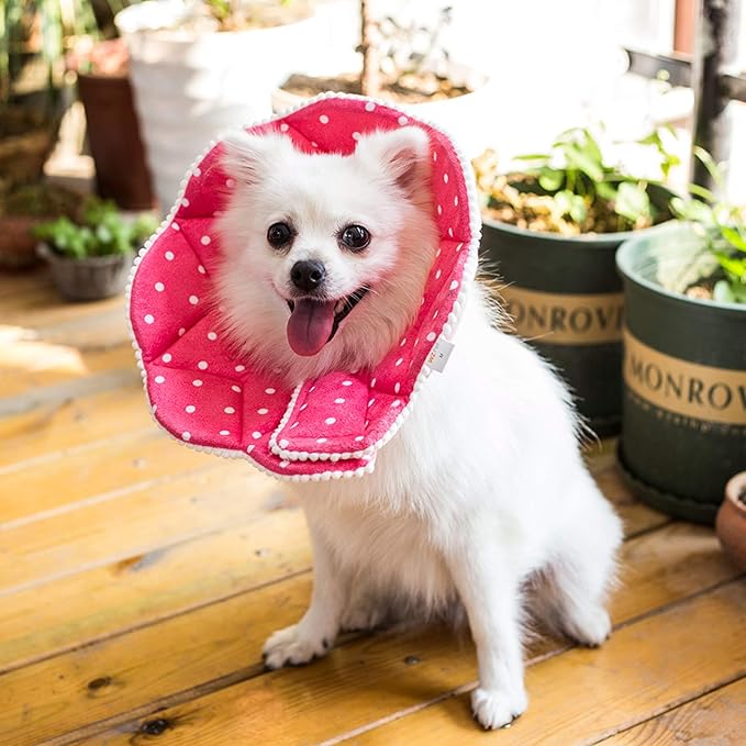 Adjustable Dog Cat Cone,Soft Recovery Cat Cone Collar,Dog Protective Collar for Cats,Puppy and Small Dogs,Pink-PurrikoPets