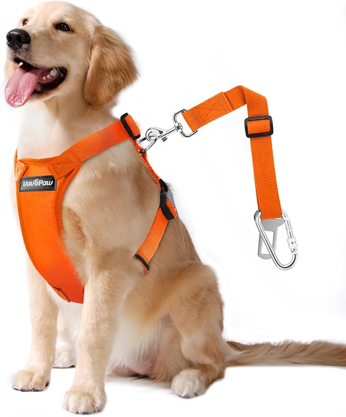 Dog Seat Belt, Safety Vest Dog Car Harness with Adjustable Buckle Dog Seat Belt for Vehicle Nylon Pet Safety Seat Belts Heavy Duty(XL, Orange)-PurrikoPets