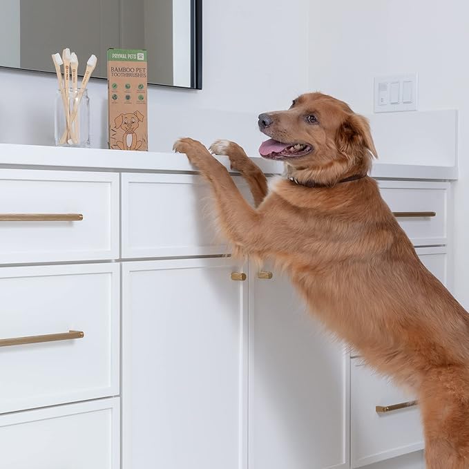 Dog Toothbrush I 4-Pack Two Sided Bamboo Toothbrush for Small and Large Dogs & Cats I Soft Bristles Gentle for Easy Dog Teeth Brushing & Dental Care-PurrikoPets