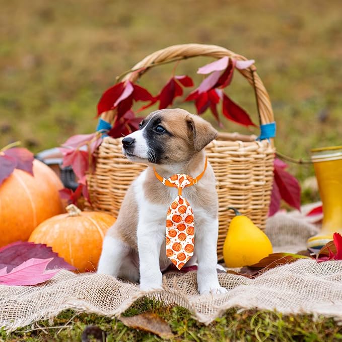 22pcs Fall Dog Bow Tie, Adjustable Bowtie Collar Attachment for Small Medium Pets, Bulk Neckties Set for Thanksgiving Day,Autumn Pet Supplies Charms Hair Costume Accessories(Maple Leaf, Pumpkin)-PurrikoPets