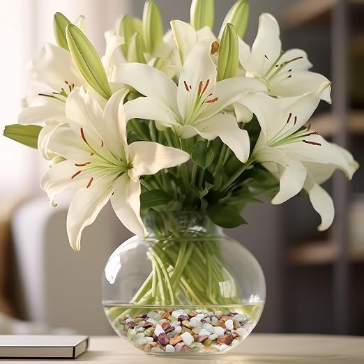 5lbs Pebbles for Indoor Plants, 3/8 Inch Small Rocks for Potted Plants, Succulents, Vase Fillers, Cactus Planters, Bird Bath, Fountain, Outdoor Garden Landscaping-PurrikoPets