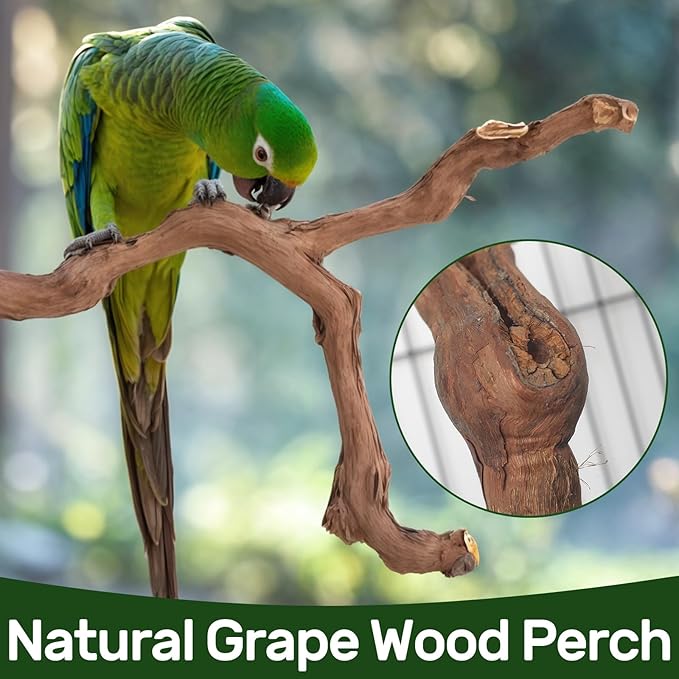 4-Piece Bird Perch Set with Rotating Ball Stand - Natural Wood Bird Gym & Playground for Parrots, Cockatiels, Budgies-PurrikoPets