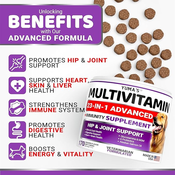 2-Pack Dog Multivitamin Chewable with Glucosamine - Dog Vitamins and Supplements - Senior & Puppy Multivitamin for Dogs - Hip & Joint Support - Immune Health, Skin, Heart, Digestion, Probiotics-PurrikoPets