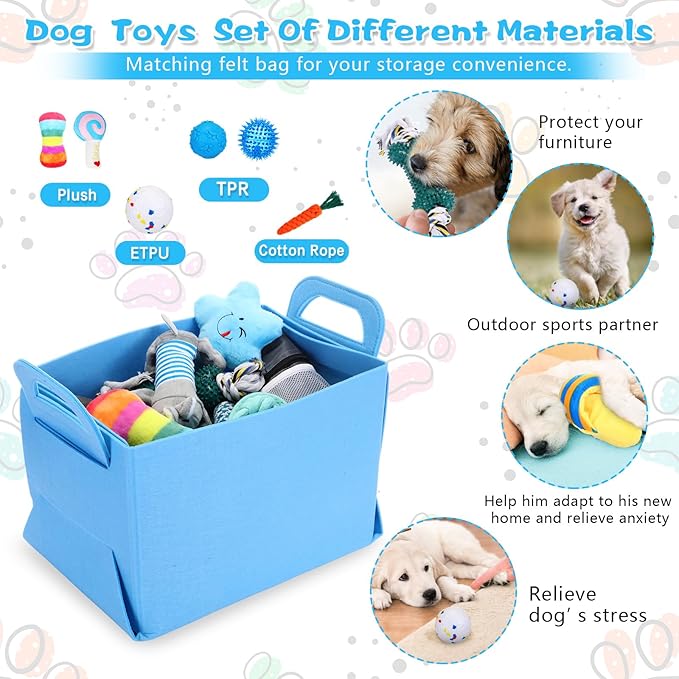 65 Pcs Puppy Supplies Starter Kit Small Dog Essentials Includes Dog Leash, Toys, Bowl, Brushes, Water Bottles, pet Blankets Puppy Accessories for New Welcome Gift Supplies(Cool,Blue)-PurrikoPets